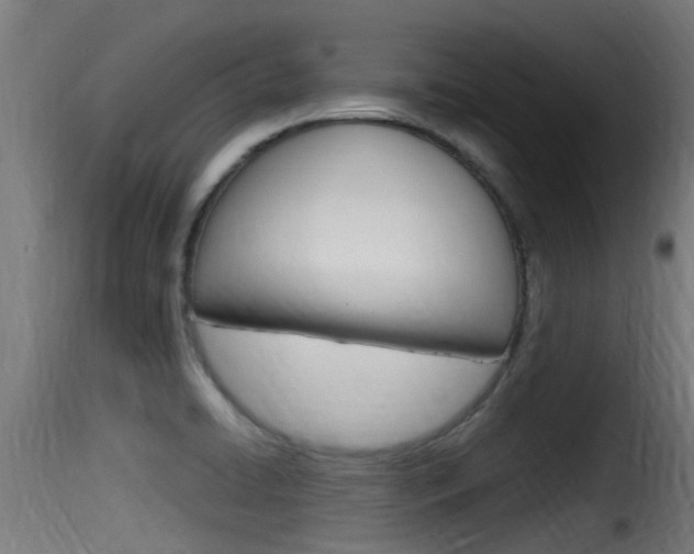 X0000116101422200911230921