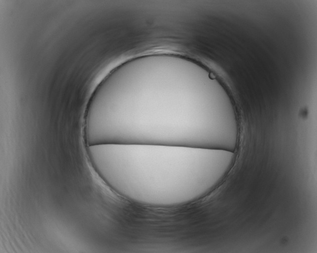 X0000116101423200911230922