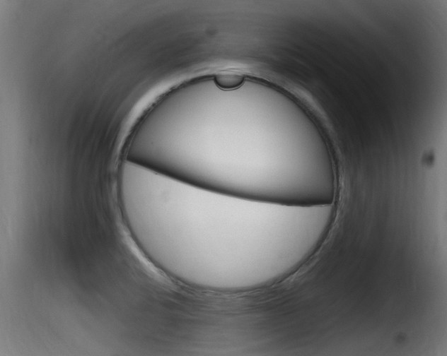 X0000116101424200911230922