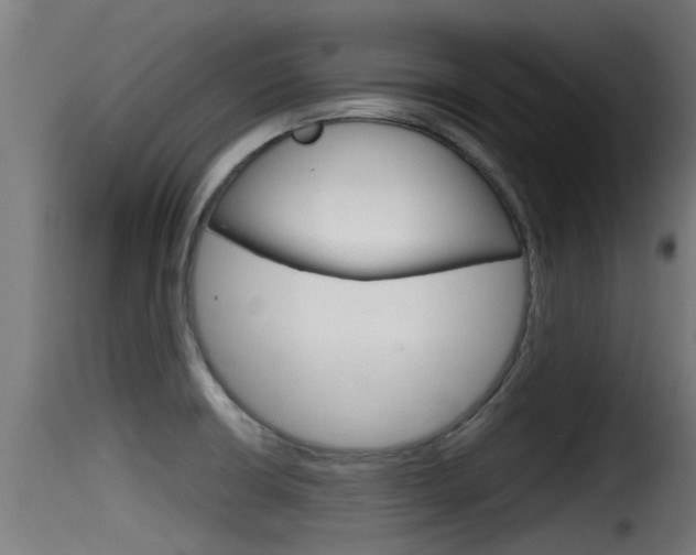 X0000116101426200911230922
