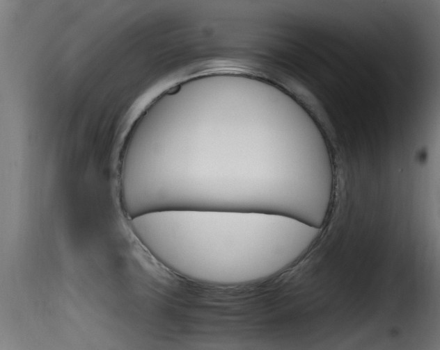 X0000116101427200911230922