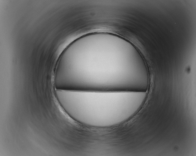 X0000116101428200911230922