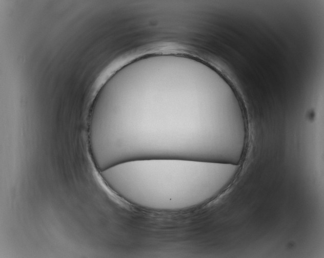 X0000116101429200911230922