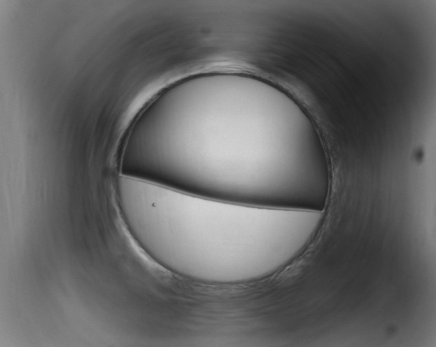 X0000116101430200911230922
