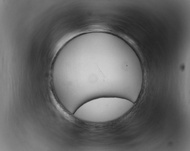 X0000116101431200911230922