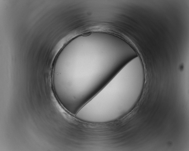 X0000116101434200911230922