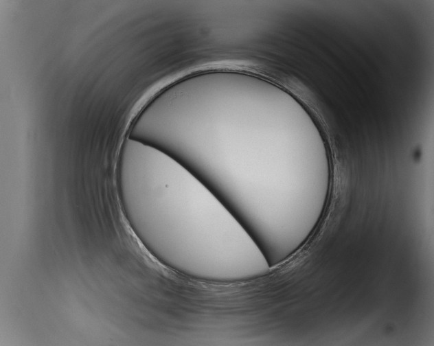 X0000116101436200911230922