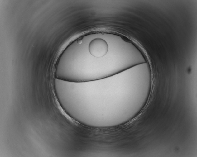 X0000116101437200911230922
