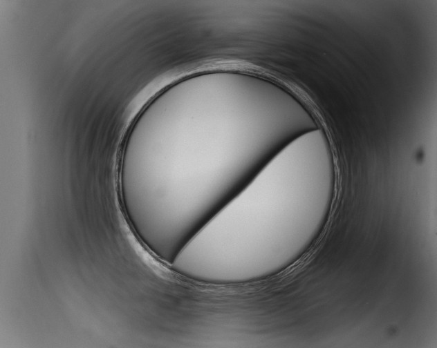 X0000116101438200911230922