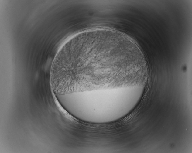 X0000116101439200911230922