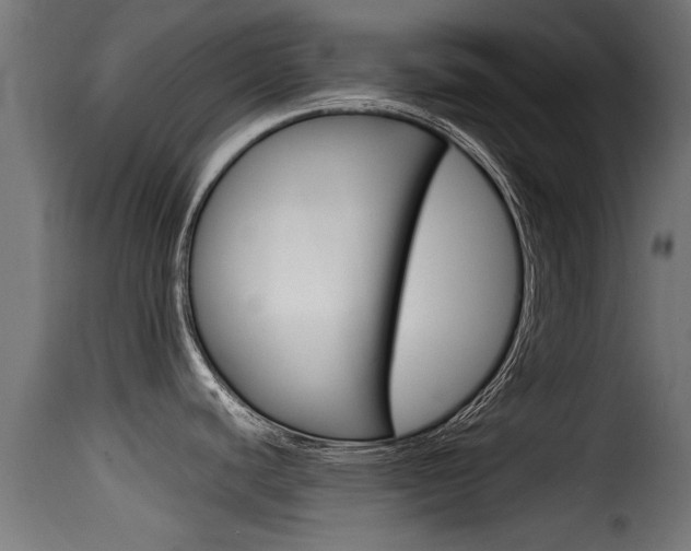 X0000116101440200911230922