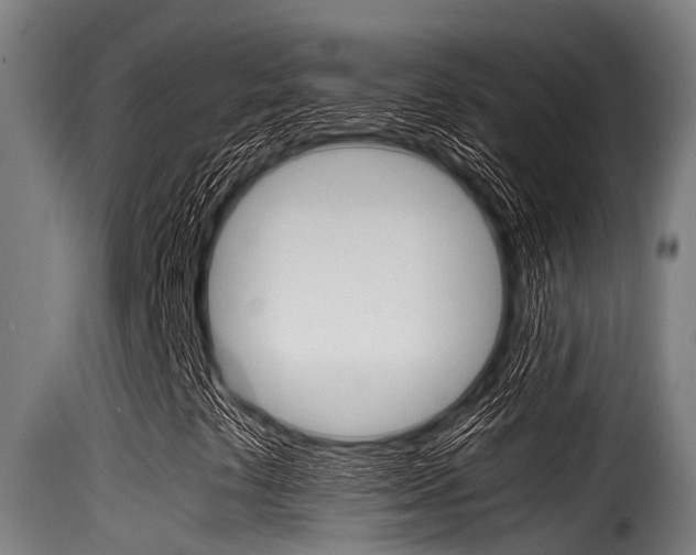 X0000116101441200911230921