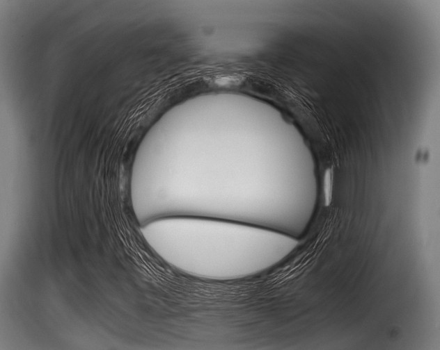 X0000116101443200911230921