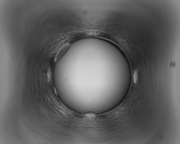 X0000116101444200911230921