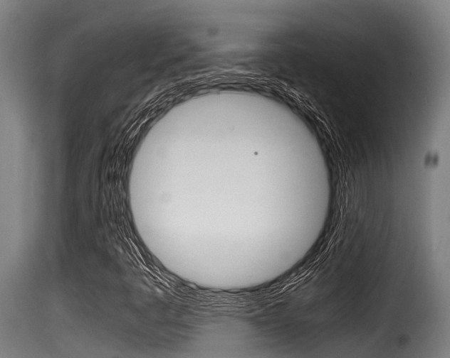 X0000116101445200911230921