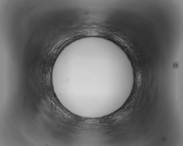 X0000116101446200911230921