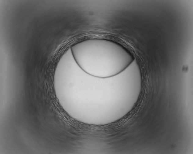 X0000116101447200911230921