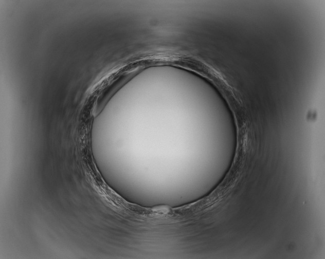 X0000116101448200911230921