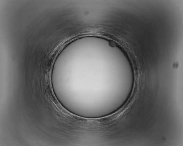 X0000116101449200911230921