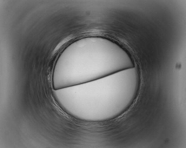 X0000116101450200911230921