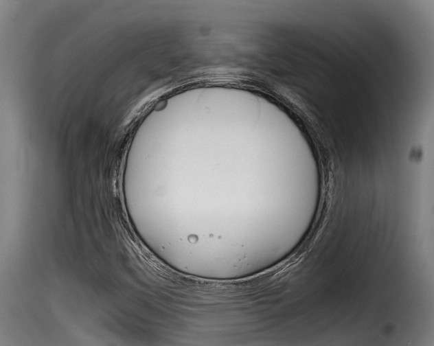 X0000116101451200911230921
