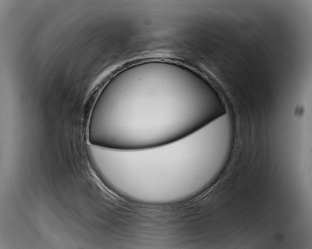 X0000116101452200911230921