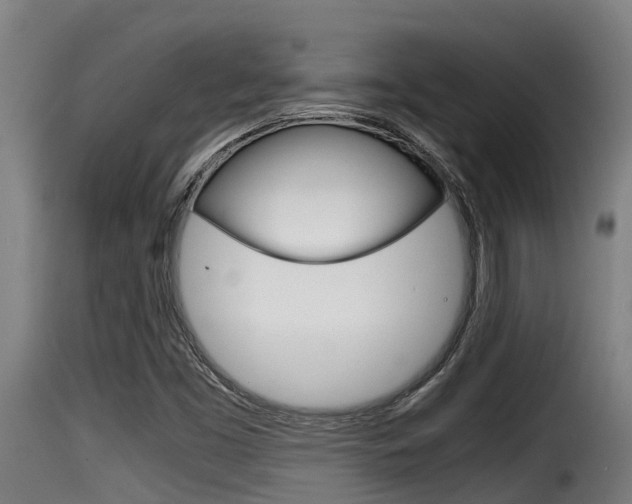 X0000116101453200911230921