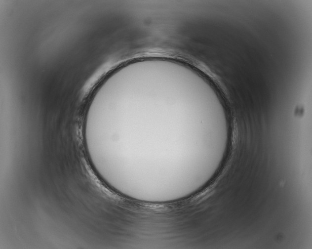 X0000116101454200911230921