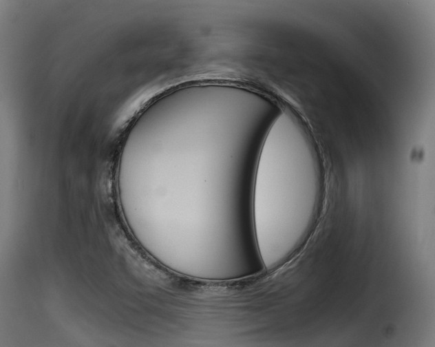 X0000116101455200911230921
