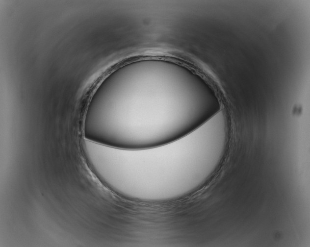 X0000116101456200911230921
