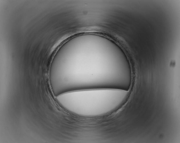 X0000116101457200911230921