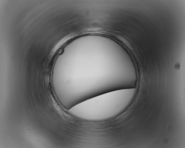X0000116101458200911230921