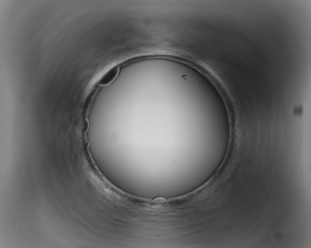 X0000116101460200911230921