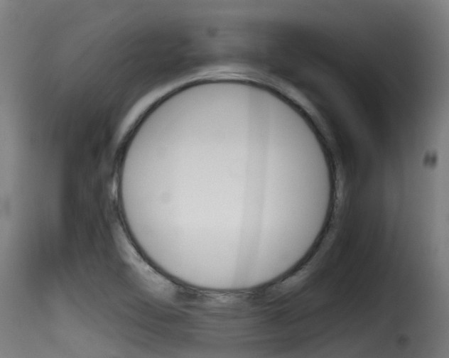X0000116101462200911230921