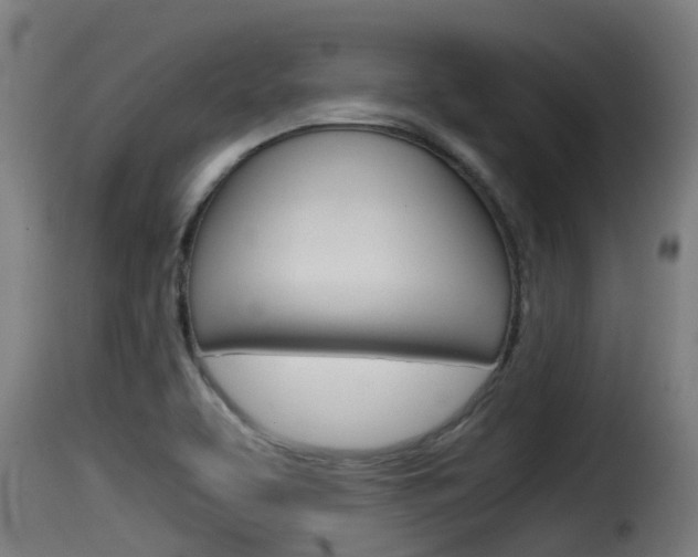 X0000116101463200911230921