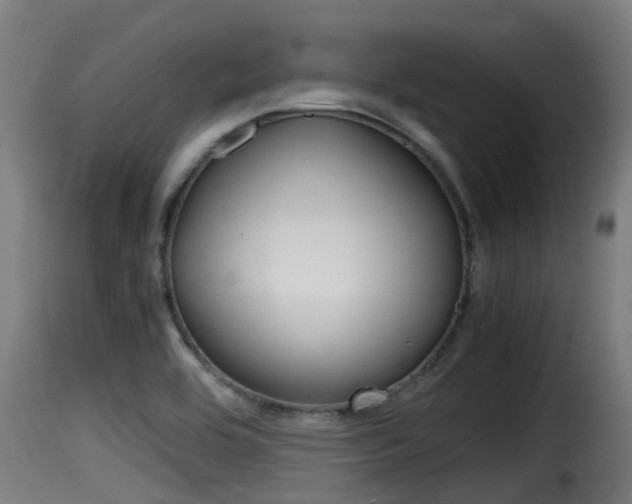 X0000116101464200911230921
