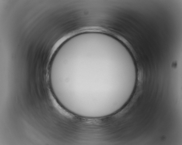 X0000116101466200911230921