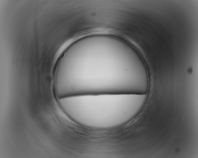 X0000116101467200911230921
