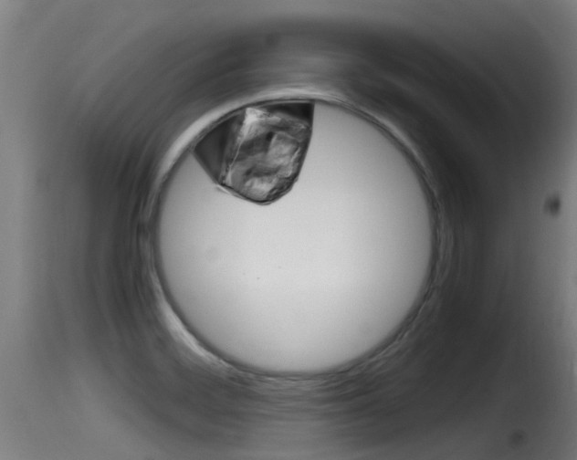 X0000116101468200911230921