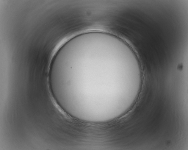 X0000116101469200911230921