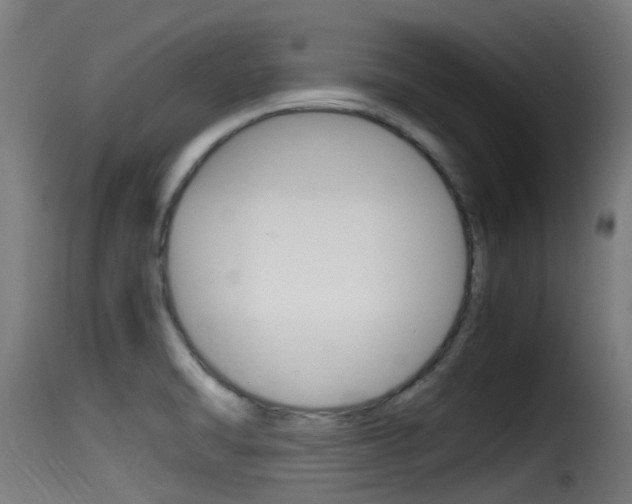 X0000116101470200911230921