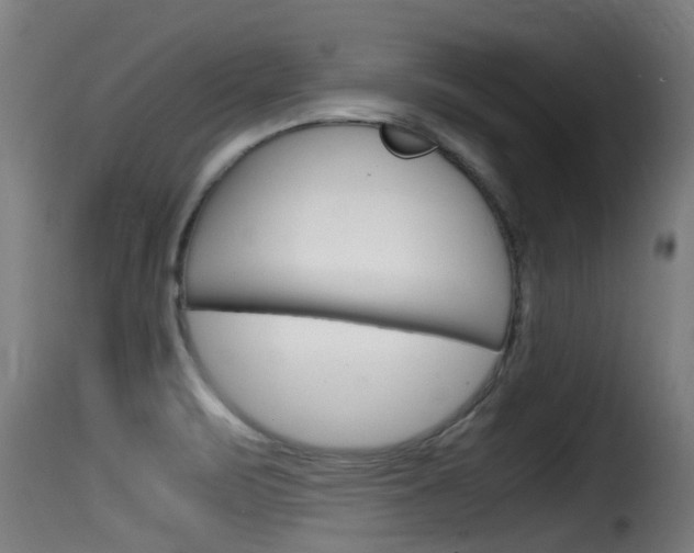 X0000116101471200911230921