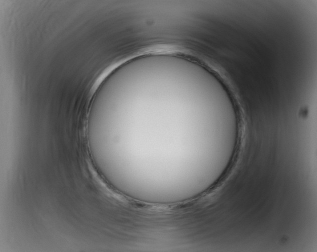 X0000116101473200911230921