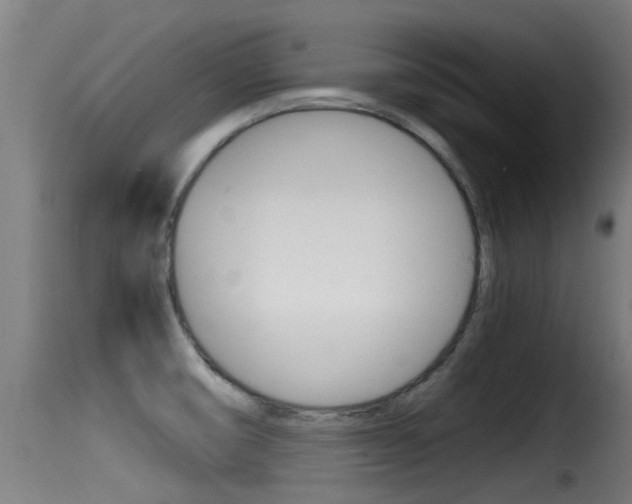 X0000116101474200911230921
