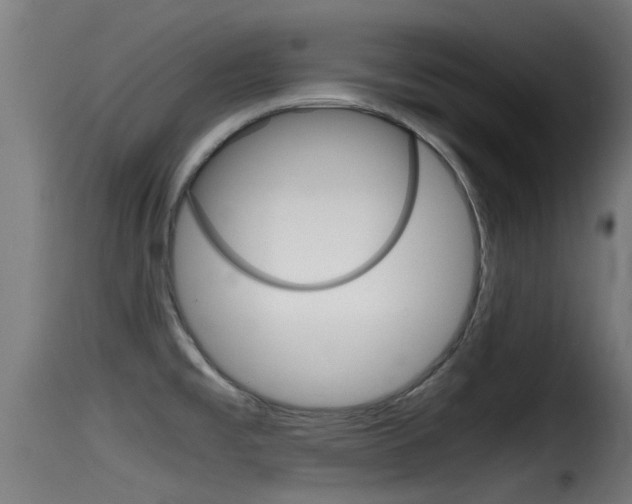 X0000116101477200911230921