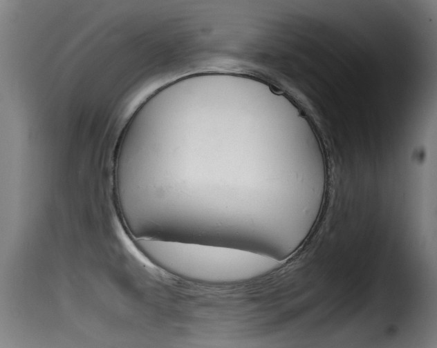 X0000116101479200911230921