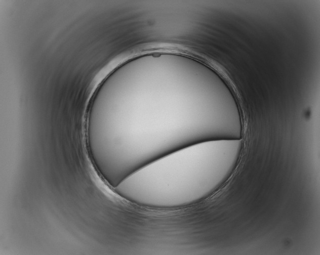 X0000116101482200911230921