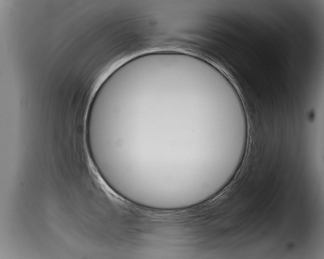 X0000116101485200911230920