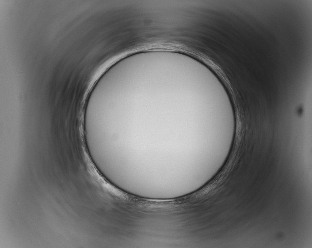 X0000116101486200911230920