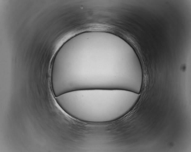 X0000116101487200911230920